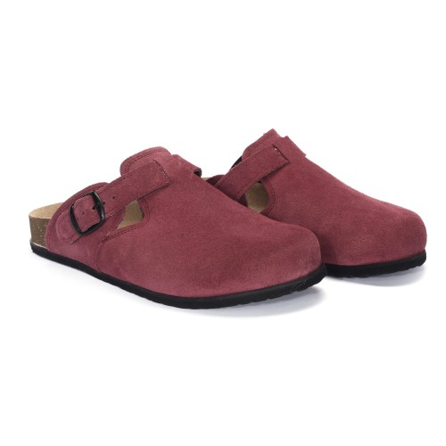 1905 śliwka (1).JPG