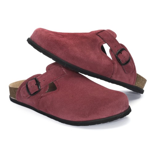 1905 śliwka (2).JPG