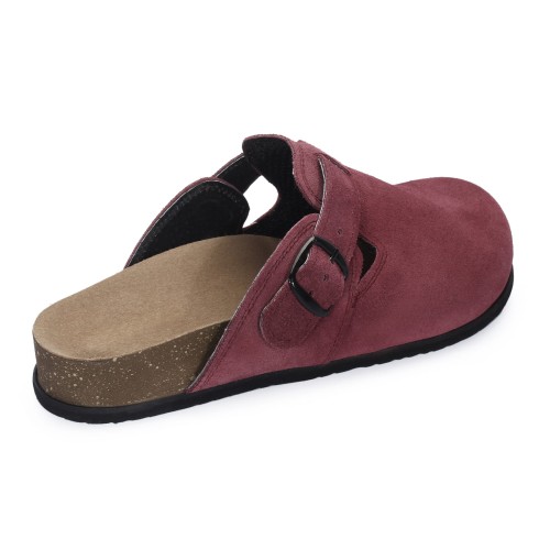 1905 śliwka (4).JPG