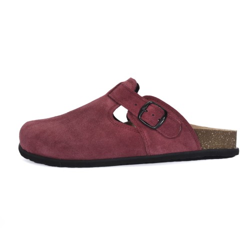 1905 śliwka (5).JPG