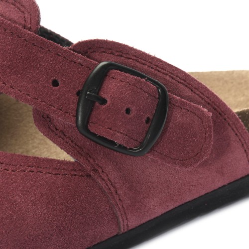 1905 śliwka (7).JPG